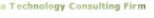 a Technology Consulting Firm